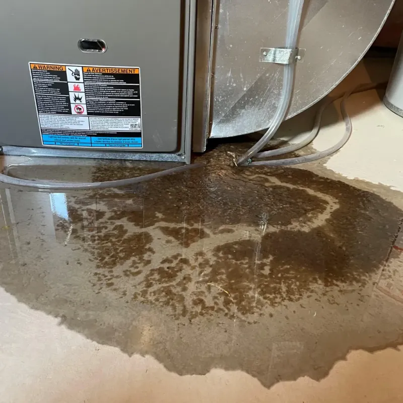Appliance Leak Cleanup in Placitas, NM