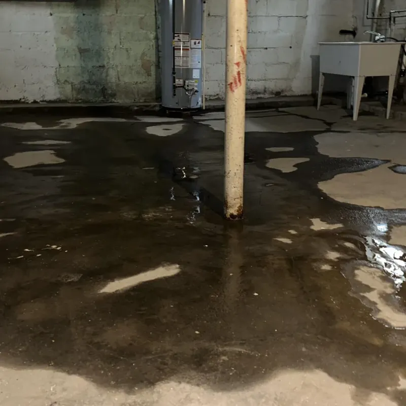 Emergency Water Extraction And Removal in Placitas, NM
